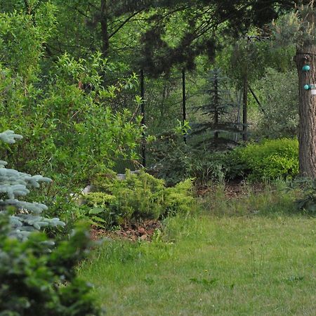 Apartament Wita Niemcz Екстериор снимка