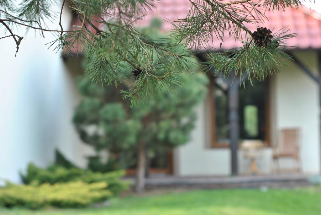 Apartament Wita Niemcz Стая снимка